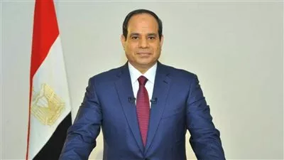 قرار جمهوري بالموافقة على قرض لتوسيع محطة كهرباء غرب القاهرة البخارية