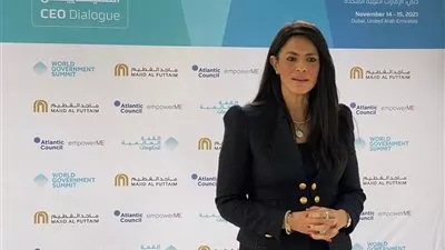 «المشاط»: برنامج الإصلاح الاقتصادي مكن مصر من الصمود أمام كورونا
