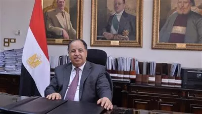 وزير المالية: حان الوقت لجني ثمار مشروعات «رقمنة الجمارك»