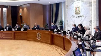 مدبولي يوجه بتشكيل مجموعة عمل لجذب التمويل للمشروعات صديقة البيئة