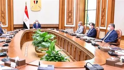 السيسى يوجه بسرعة تنفيذ خطط توطين صناعة السيارات العاملة بالطاقة الجديدة