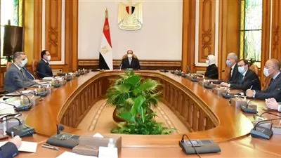 السيسى يوجه بالبدء الفورى فى إنشاء مراكز تجميع مشتقات البلازما
