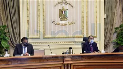 4,7 مليار جنيه تكلفة مشروعات «التعليم العالى» الرقمية فى مصر