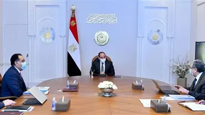 السيسي يوجه بتعزيز جهود توطين مشروعات الهيدروجين الأخضر