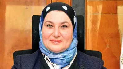 ميرفت سلطان: 4.4 مليار جنيه حجم قروض المشروعات الصغيرة بـ