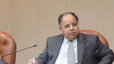 وزير المالية: ربط الضرائب والجمارك إلكترونيًا بنهاية يونيو 2022