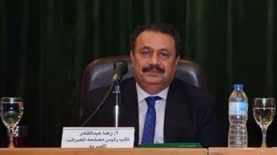 «الضرائب»: حوافز لتسهيل إقرارات المشروعات الصغيرة ومتناهية الصغر