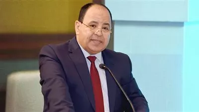 3,9 مليار جنيه إيرادات «جمارك الإسكندرية» خلال أكتوبر الماضى