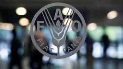 استقرار أسعار الأغذية العالمية في أغسطس الماضي