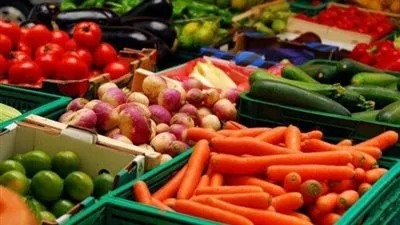ارتفاع صادرات الحاصلات الزراعية المصرية إلى 1.9 مليار دولار خلال 8 أشهر