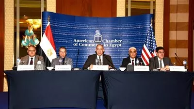 1200 جنيه حد أدنى للاشتراك التأميني مع زيادة 15% سنويا