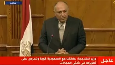 شكري: العلاقات المصرية السعودية لا تحتاج لوساطة (فيديو)