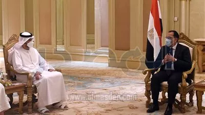 تشكيل فرق عمل مصرية إماراتية لصياغة التفاهمات حول مشروعات الطاقة المتجددة