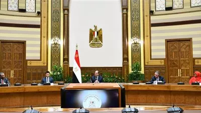 الرئيس السيسي يدعو وزراء الرياضة لإنشاء اتحاد للشباب العربي