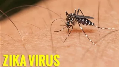 فريق من الباحثين يتوصل لسر تكوين فيروس 