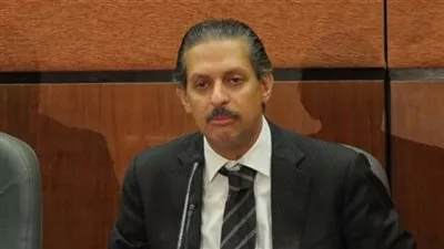 السفير المصري في 