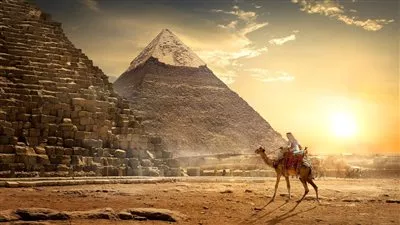 مصر تفوز بأفضل حملة ترويجية رقمية في روسيا