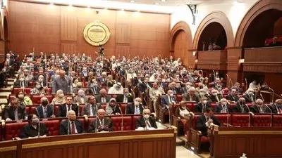 مجلس الشيوخ يوافق نهائيًا على مشروع قانون صندوق «قادرون باختلاف»