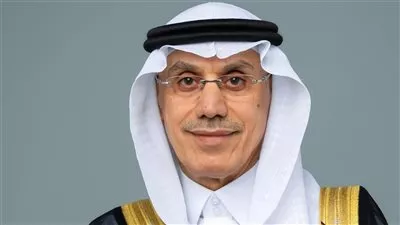 رئيس «الإسلامي للتنمية»: توسعة قناة السويس عززت موقع مصر تجاريًا و استثماريًا 