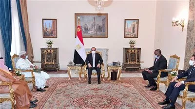 السيسي يستقبل أمين عام منظمة التعاون الإسلامي