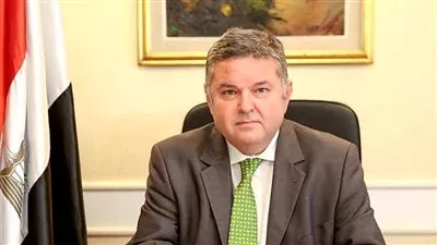 ارتفاع ايرادات «التجارية للأخشاب» إلى 41 مليون جنيه خلال 2021