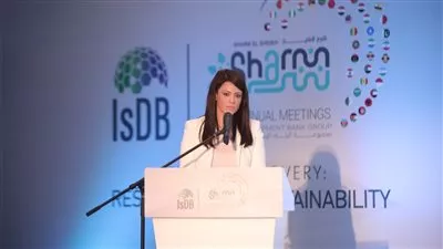 «المشاط»:الشراكات متعددة الأطراف نهجًا لا غنى عنه لتحقيق التنمية المستدامة
