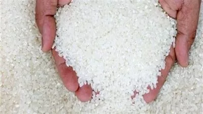 الحكومة تنفى زيادة أسعار الأرز التمويني