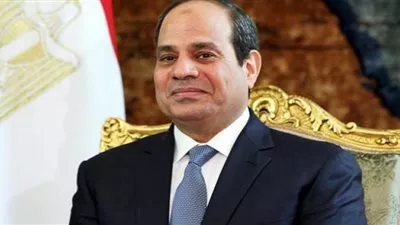 السيسي يلتقي رئيس توجو لبحث تعزيز التعاون المشترك
