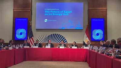 تنسيق مصري أمريكي حول منتدي غاز شرق المتوسط ومؤتمر المناخ