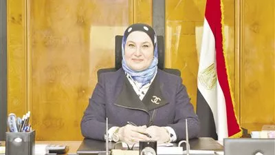 «المركزى» يسيطر على قروض التجزئة لشركات تمويل البيع بالتقسيط