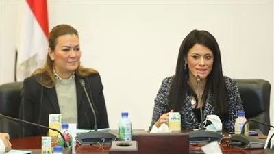 «المشاط» تطلق منصة التعاون التنسيقي للاستثمار في رأس المال البشري