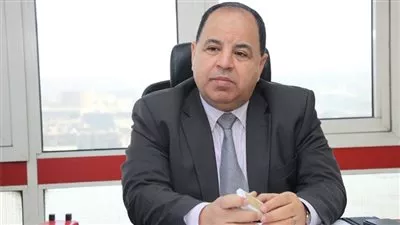 وزير المالية: خفض فئة «ضريبة الوارد» على 150 صنفًا من مستلزمات الإنتاج