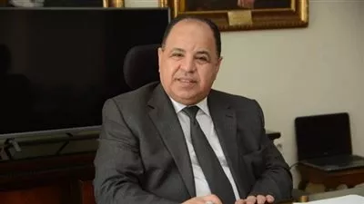 «المالية»: إنشاء نظام إلكترونى لتتبع البضائع حتى مرحلة الإفراج النهائى