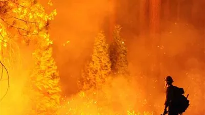 بالفيديو.. اندلاع 20 حريقاً في غابات ولاية كاليفورنيا الأمريكية