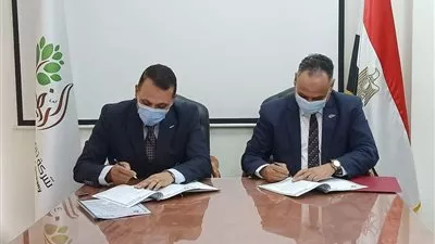عيادة ومزرعة بحثية.. بروتوكول بين «الريف المصري» و«البحث العلمي» لخدمة الـ 1.5 مليون فدان