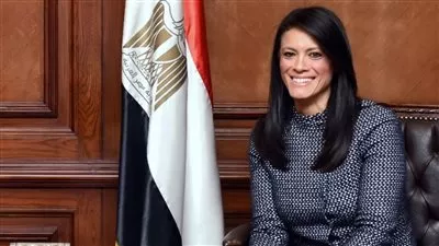 «التعاون الدولي»: تمويلات تنموية بقيمة 9.8 مليار دولار خلال 2020