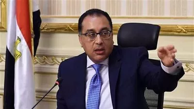 قرار حكومي بالترخيص لـ«المالية» والبنك المركزي بتأسيس شركة مساهمة