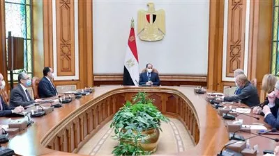 السيسي يبحث التعاون مع «سكاتك» النرويجية لتوطين تكنولوجيا تحلية المياه