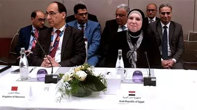 نيفين جامع تدعو وزراء التجارة العرب لوضع أجندة موحدة لتحقيق الأهداف التنموية