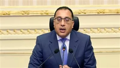 «الوزراء» يقرر تعديل قواعد طرح تراخيص الصناعات الثقيلة للمستثمرين