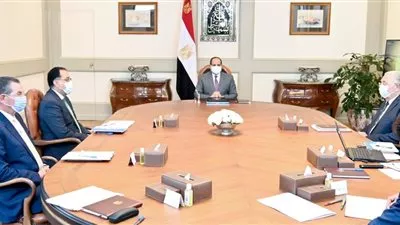 السيسى يستعرض مخطط المشروعات المستقبلية للمزارع السمكية