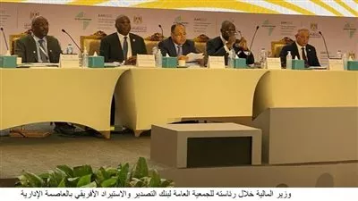 وزير المالية يدعو شركاء التنمية الدوليين لتعزيز التعاون مع أفريقيا 
