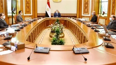 السيسى يوجه بالتطوير المنظم الشامل لمنظومة المحاجر