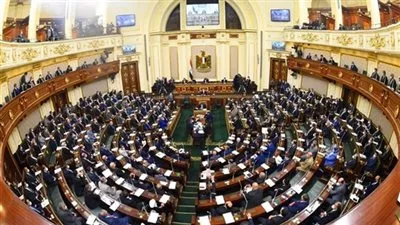 «النواب» يوافق على منحة بـ 300 ألف يورو لدعم استراتيجية حقوق الإنسان