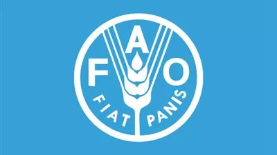 الفاو