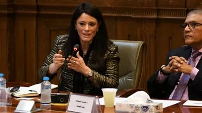 «المشاط» أمام «الشيوخ»: التمويلات التنموية لا تتخطى 15% من الدين الخارجي