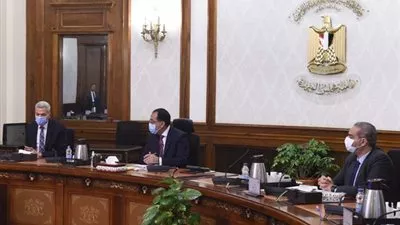مدبولي: تنسيق كامل بين الوزارات والجهات المعنية لاستيراد مستلزمات القطاع الطبي