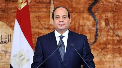 «السيسي» من «توشكى الخير»: الوقت لا يسمح بتأخير ضم الأراضي المستصلحة
