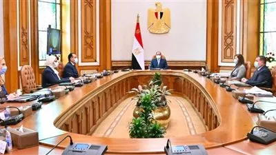 السيسى يستعرض المخطط التنفيذي للمشروع القومي لتنمية الأسرة المصرية