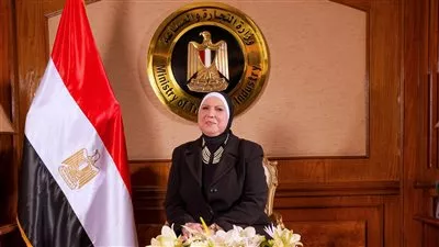 «الصناعة» في 2021: 10 آلاف رخصة لـ 2778 منشآة باستثمارات 18 مليار جنيه